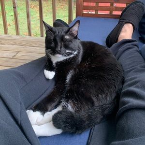 Meet your Posher, Grant